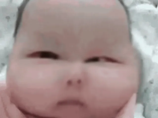 The Schizo Demons Made Me