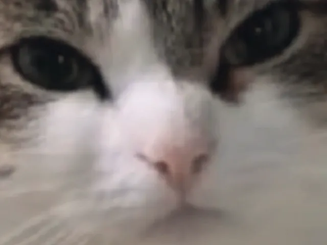 oh the misery․․․