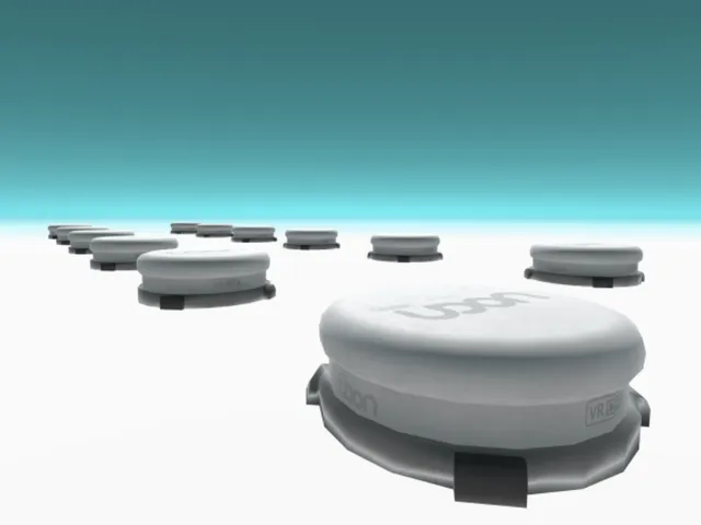 Void's Temporary Avatar World