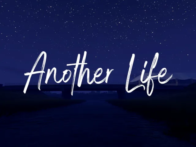 Another Life