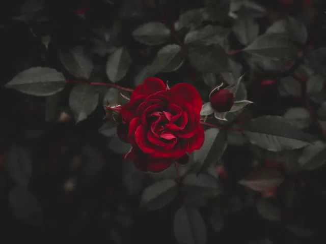 Test test （quickloading home）