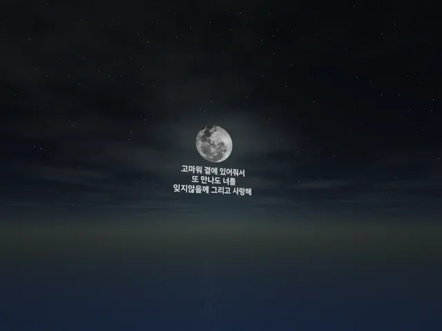 대피소