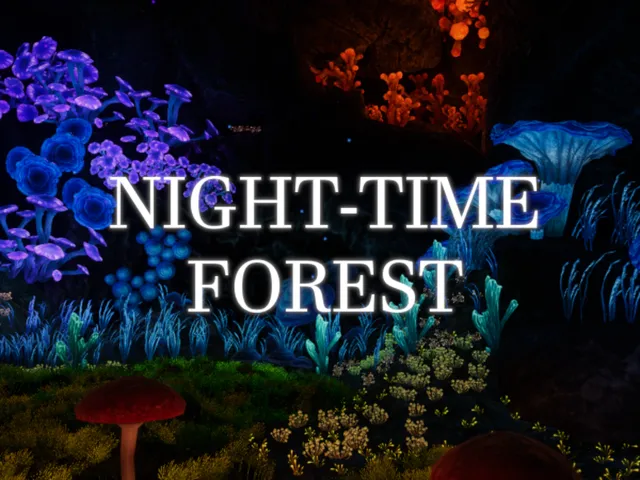 Night Time Forest
