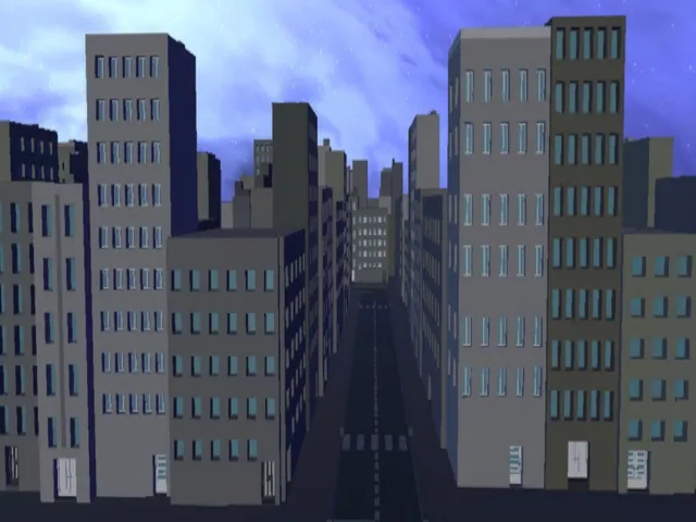Through the city