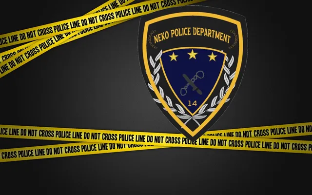 （Archived） NPD Re-Founded Station