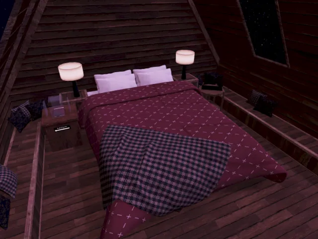 Attic of the Night sky