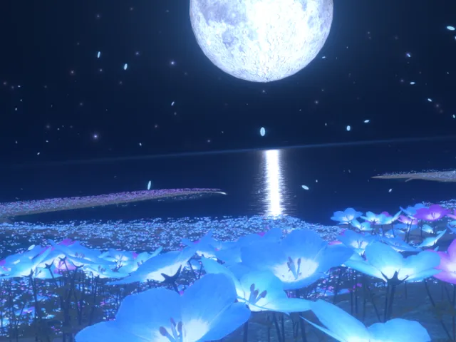 光とネモフィラと