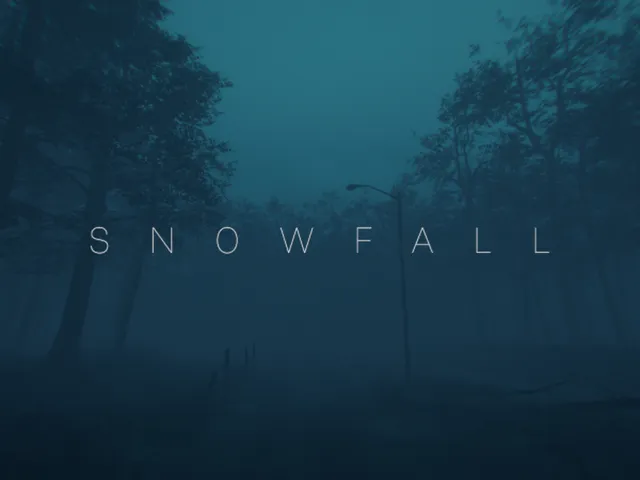 Snowfall