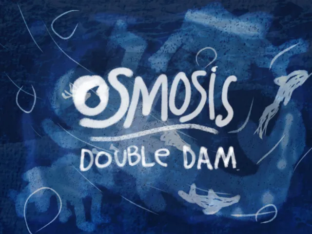 （HEAVY WIP） Osmosis - Double Dam