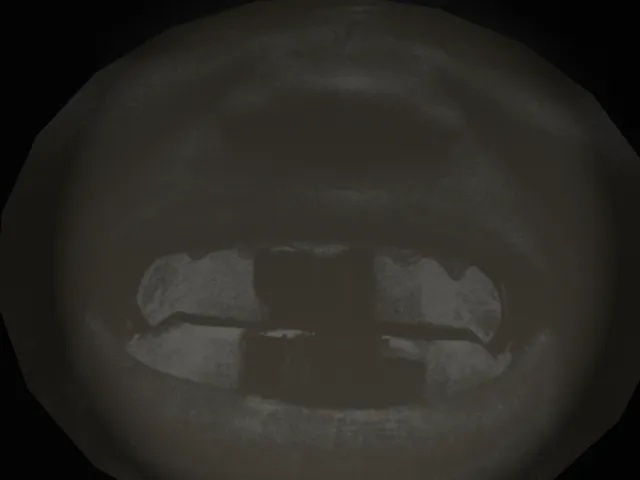 BULLY ｜ ブリー ｜ YE ｜ 3․27․26