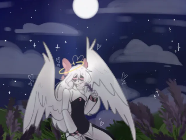 House in Lavender Field