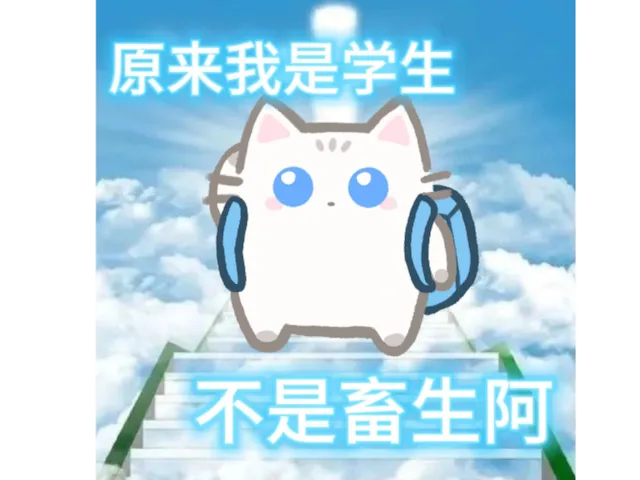 纸箱盒