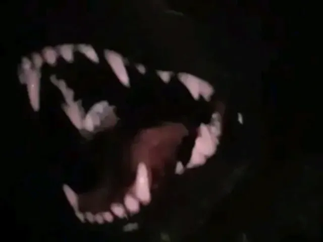 ۩ Vexz Avatar Apartment ۩