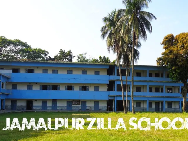 The school