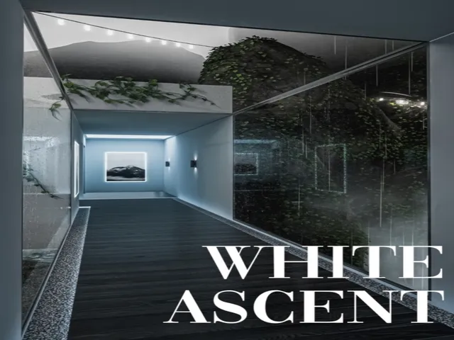 White Ascent @ Night
