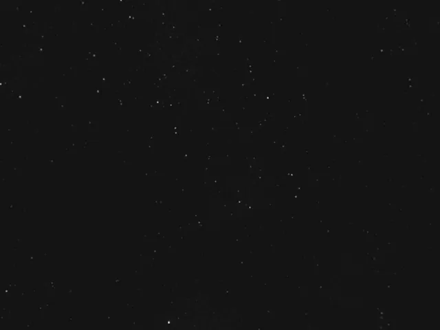 Grape's hangout world