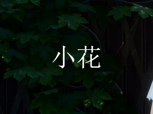 小花 - A glowing day that reflects her joy｜วันสดใสของเธอที่เบิกบาน․