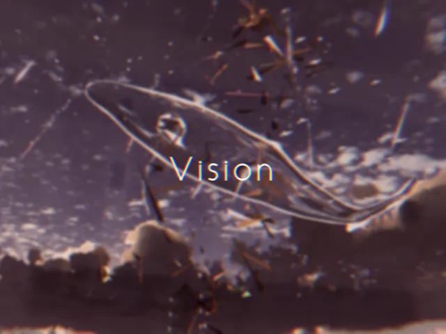 Vision