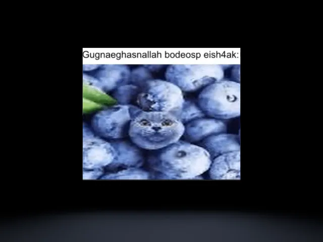 gugnaeghasnallah bodeosp eish4ak