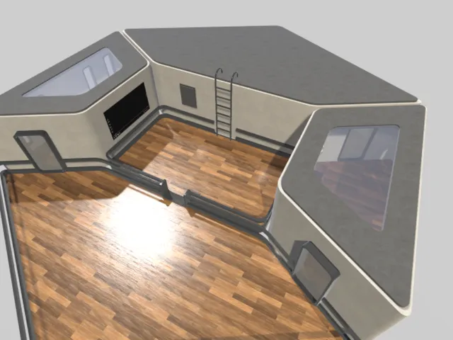 Clean hikikomori house