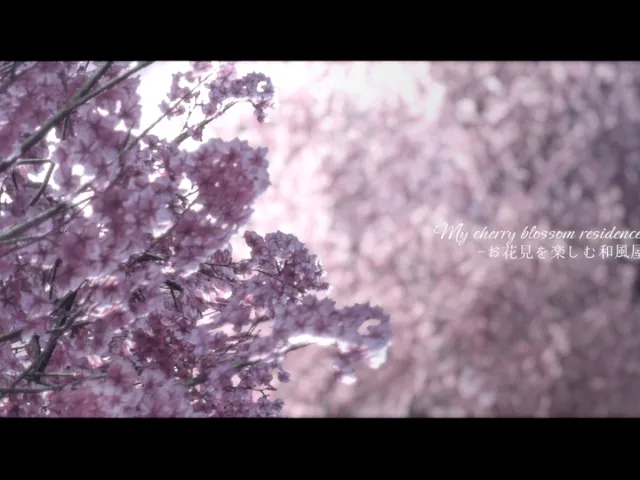 my Cherry blossom Residence - お花見を楽しむ和風屋敷 -