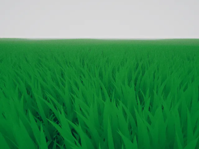 Aftergrass 残响草地