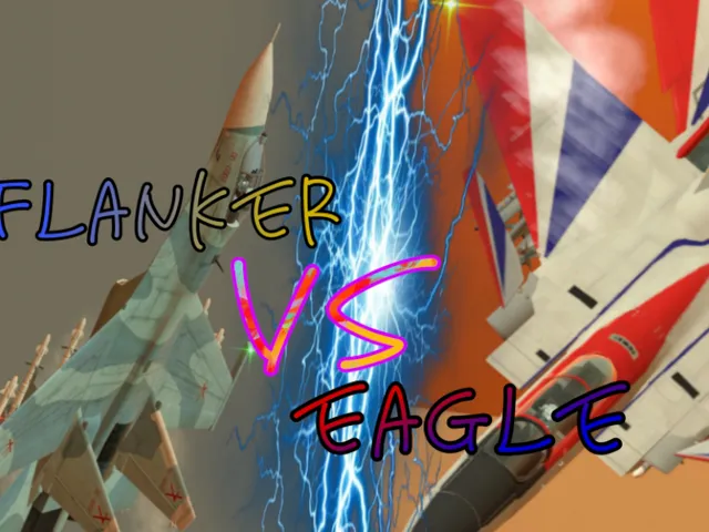 Flanker VS Eagle