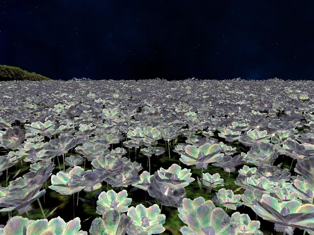 FFXIV Flower field