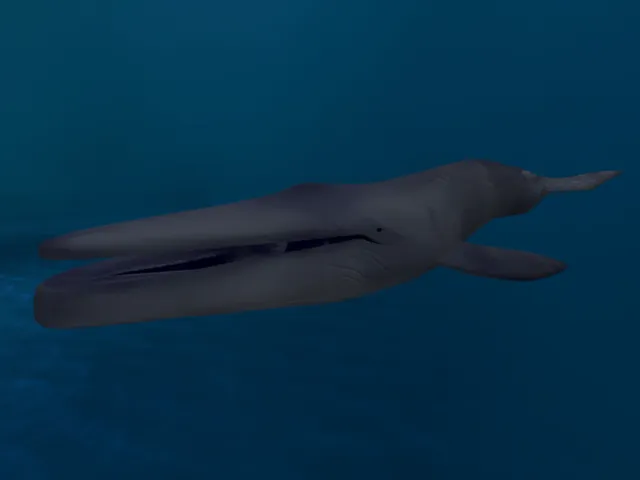 海の底で空を飛ぶ