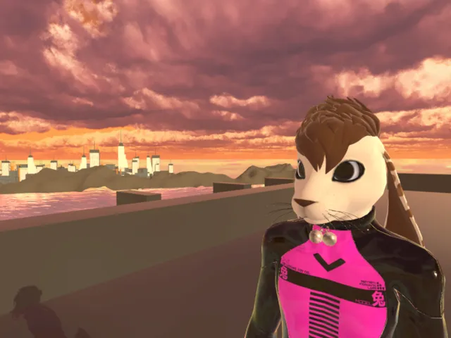 The Paw Hub （WIP）