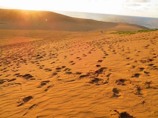 鳥取砂丘
