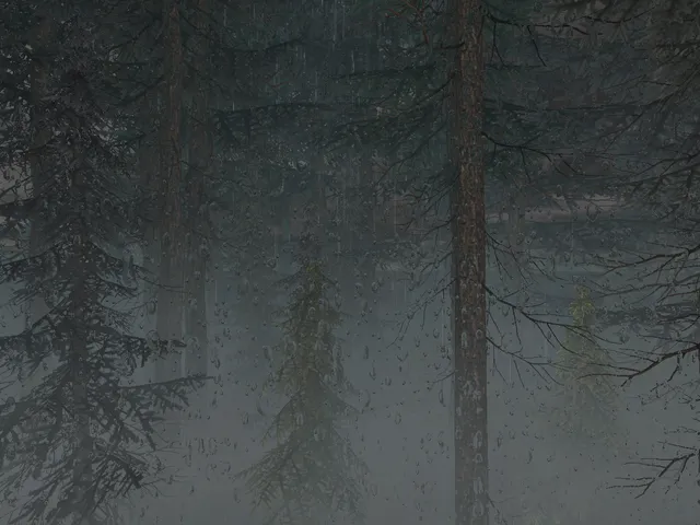 Rain