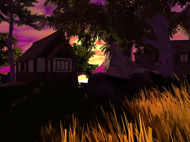 Sunset in the Grass