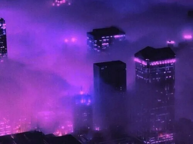 Violet Nights