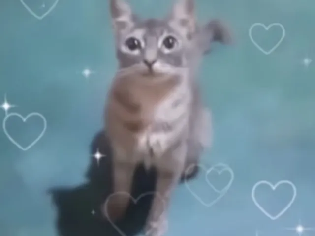 -Otaku逗比's Avatars-