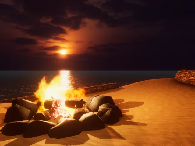 Fire by the Ocean