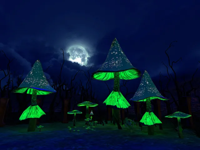 Stallion's Graveyard