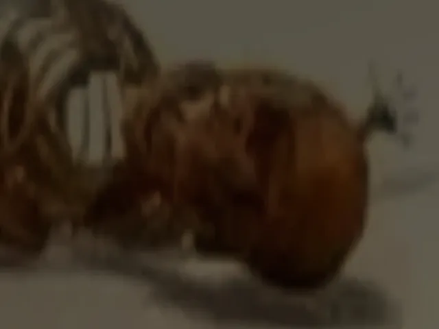 Mtrza's Avatar World