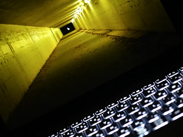 名前のない写真館 No name photograph