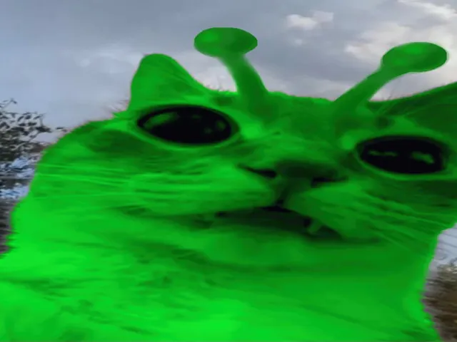 Alien cat museum