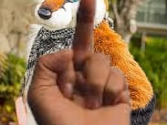 Kondzio‚ gościnny ‚Muj ROOM