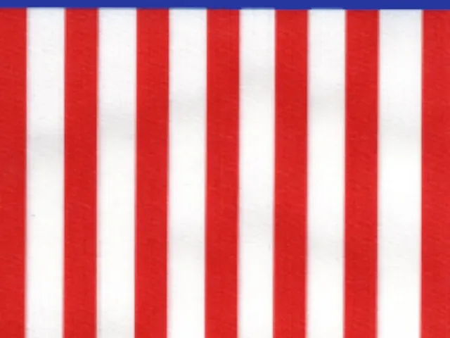 Man in the high castle world