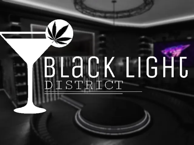 The Blacklight District