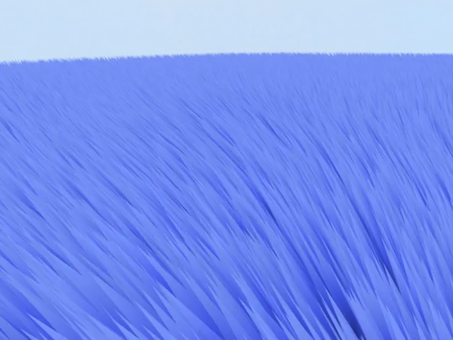風を感じる⁄Feel the Wind