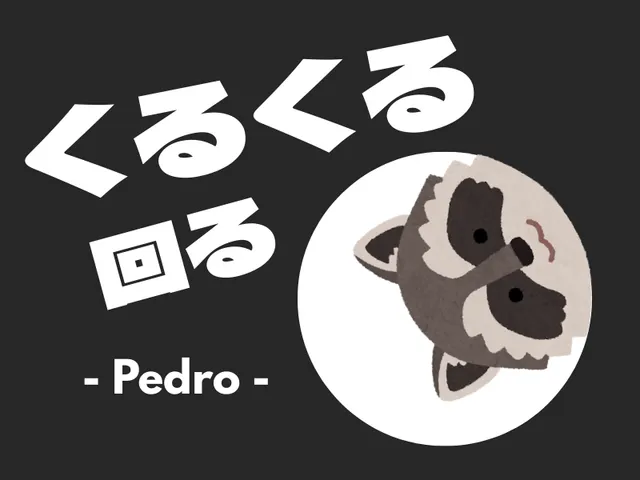 くるくる回る - Pedro