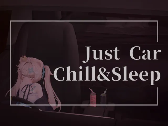 Just Car Chill&Sleep
