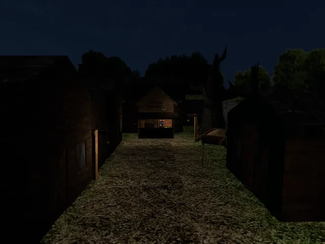 Potion's Street Night