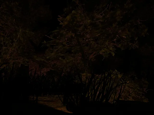 Eerie Woods