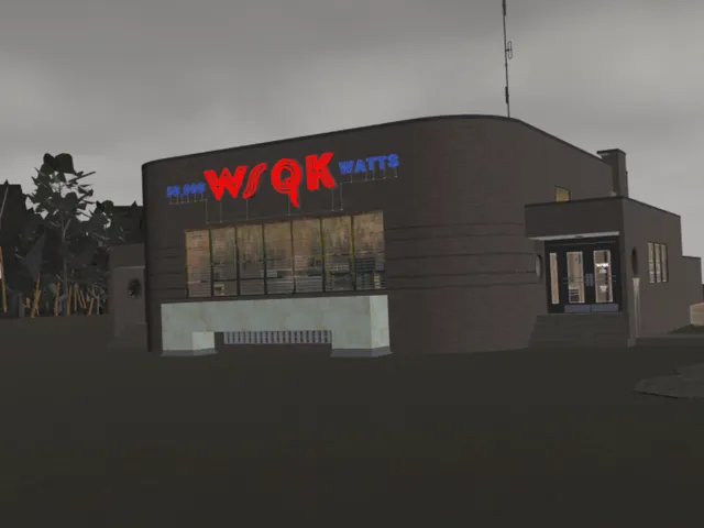 The WSQK ｜ Stranger Things