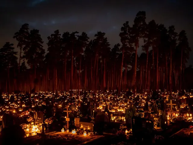 The Memories of Merigolds